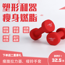 Dumbbells for women A pair of thin arm small dumbbells export mens fitness household 5kg childrens sports equipment