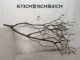 Куркума 2P624051620