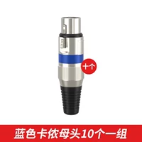 10 Голубая круговая мать мать 10