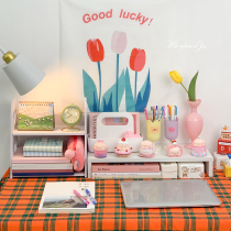 Sheet of sheet Cute Teenage Girl Hearts Hollowed-out Loving Tabletop Shelving student Dormitory Desktop Double containing finishing frame