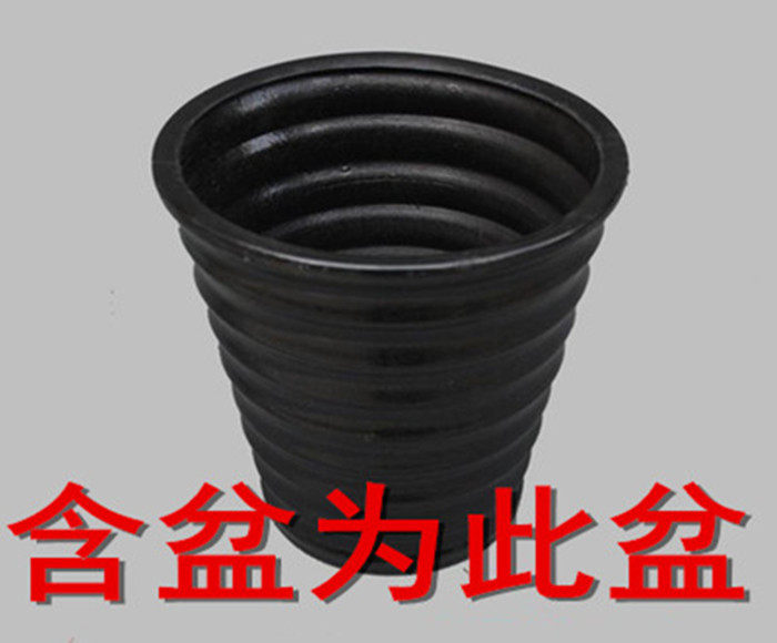 �Ӻ�Ե�辰��������