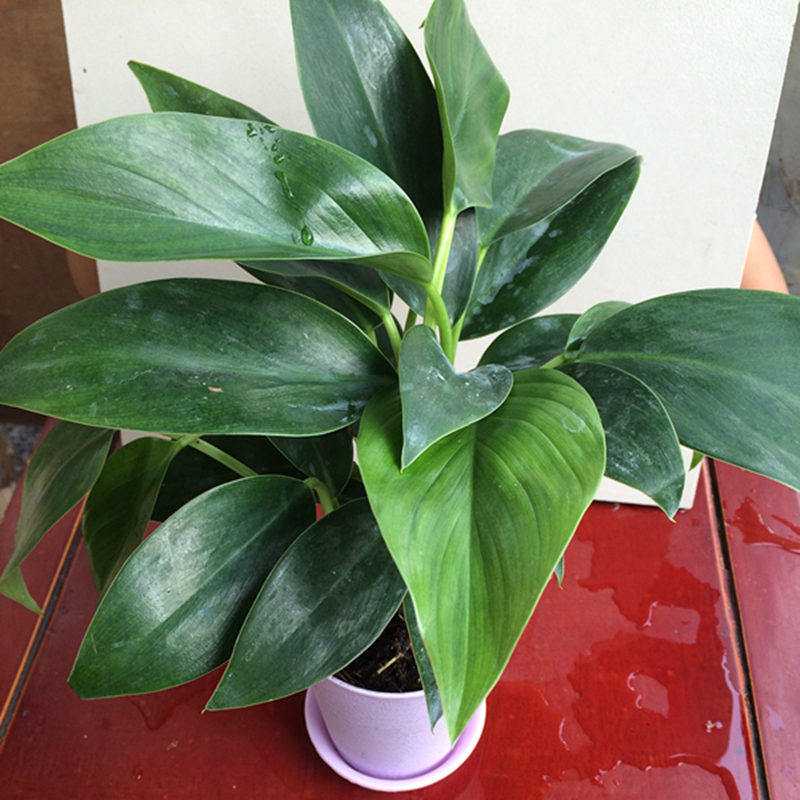 �Ӻ�Ե����������59961