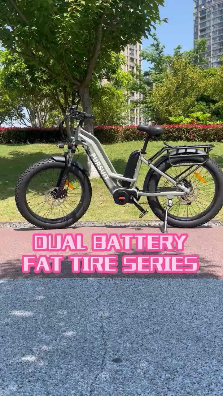 1000 Watt Ebike Frame Two Electric E Bike 1000w 48v Step Through Fat