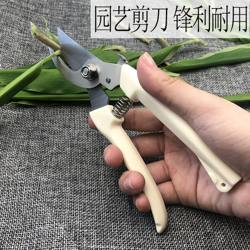 Pruning fruit tree pruning scissors garden trimming branches shears home powerful scissors artifact flower pruning shears scissors