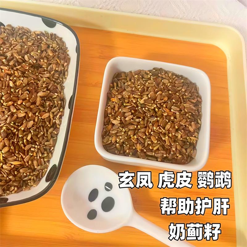 Milk Thistle Seeds Bird Snacks Parrot Milk Thistle Seeds Help Supplement the Diet of Cockatiels, Budgerigars, Sunbirds, and Pigeons Milk Thistle Seeds Bird Snacks Parrot Milk Thistle Seeds Help Supplement the Diet of Cockatiels, Budgerigars, Sunbirds, and Pigeons