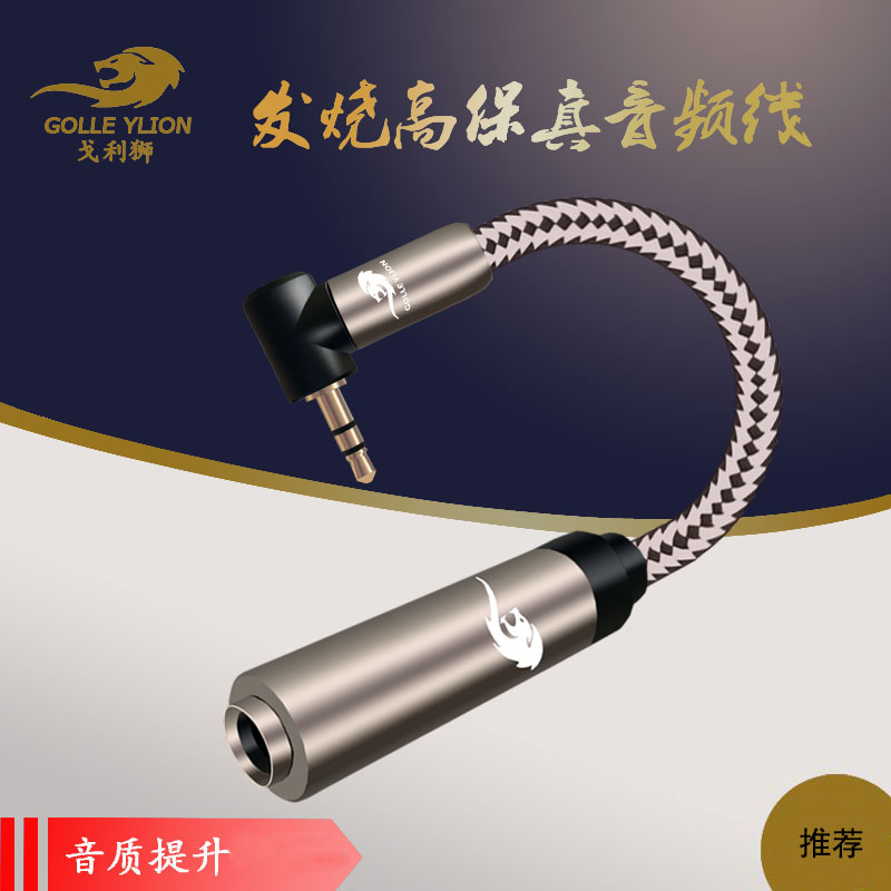 Golly Lion Fever Audio Conversion Line 3 5 Revolution 6 5 Mother Big Two Wires 6 5 Turns 3 5 Sound Card Microphone