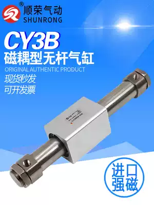 RMS CY1B CY3B6 10 15 20-150 100 250 200 300 400 500 rodless cylinder