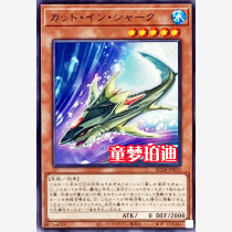 Childs Dream Purdy English Japanese Yu-Gi-Oh! AC04 Cut into Shark N
