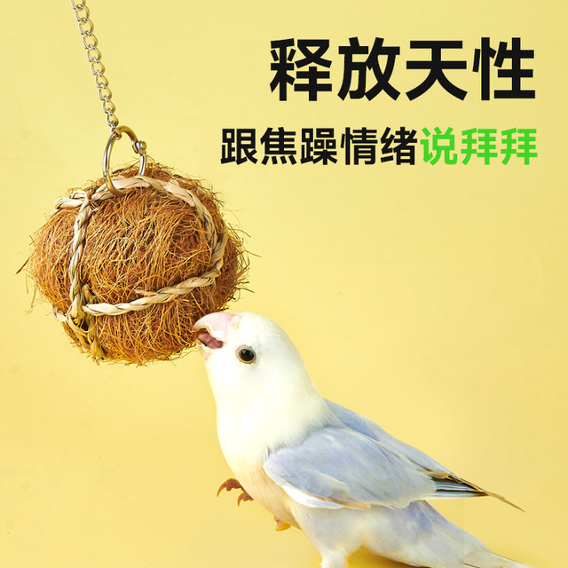 yee parrot chew toys to decompress and relieve bored, takraw skewers balls, black phoenix and peony bird rewards, ຜະລິດຕະພັນພິເສດເພື່ອປ້ອງກັນການຊຶມເສົ້າ