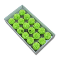 Гигантский пинг -понг хризантема [светло -зеленый] 18 Добо