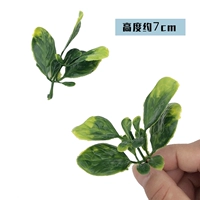 50 Peacock Blue 1050S Dark Green 50