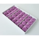 Ping Pong Chrysanthemum [виноградный фиолетовый] 28 дуэт