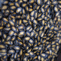 Exclusive heat seal refreshing full 2 sacks of grain Upper Real Black Sigmela 500g daily Taobao live