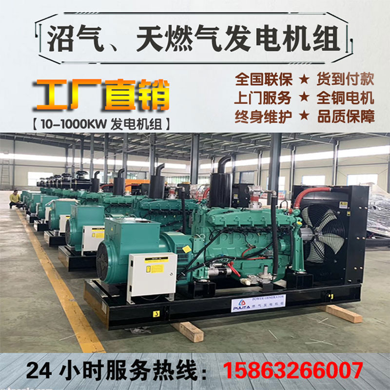 30 30 50100150200 300kw kilowatts of gas generator set biogas hydrating sulphur fire muted