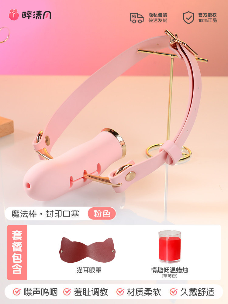 Silicone Gag Ball with Accessories detail 7