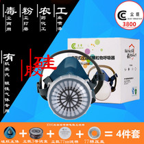 Dust - chen 3800 silicone dust - resistant gas mask paint coal mine welding anti - harmful gas dust polishing