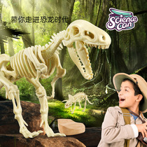 Childrens Dinosaur Fossil Museum Archaeological Excavation Toys Tyrannosaurus Dragon Skeleton Specimen Treasure Gem Set DI