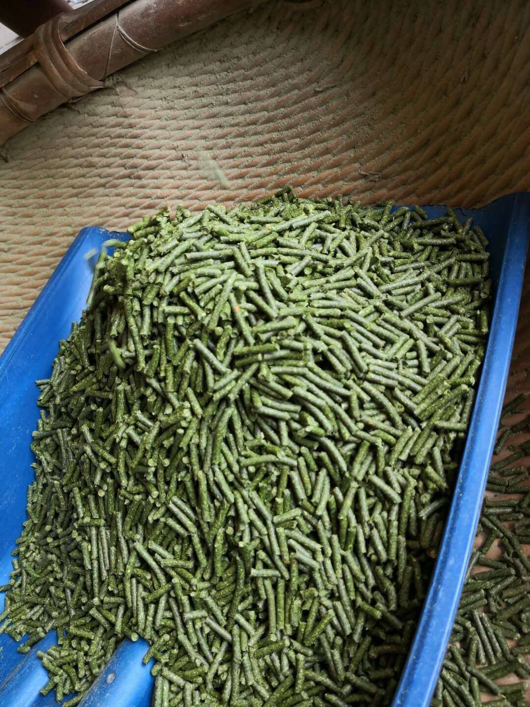 2021 Youfalfa new Judy House 1 year and more carrot juvenile rabbits into rabbit five pounds