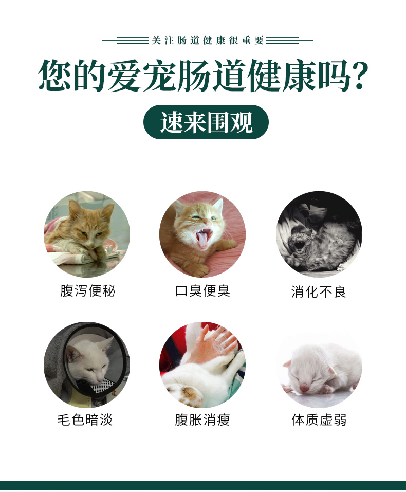 Mèo hổ phách sử dụng men vi sinh để bảo vệ dạ dày 1,5g * 12 túi bao bì riêng lẻ - Cat / Dog Health bổ sung sữa cho chó con bio milk