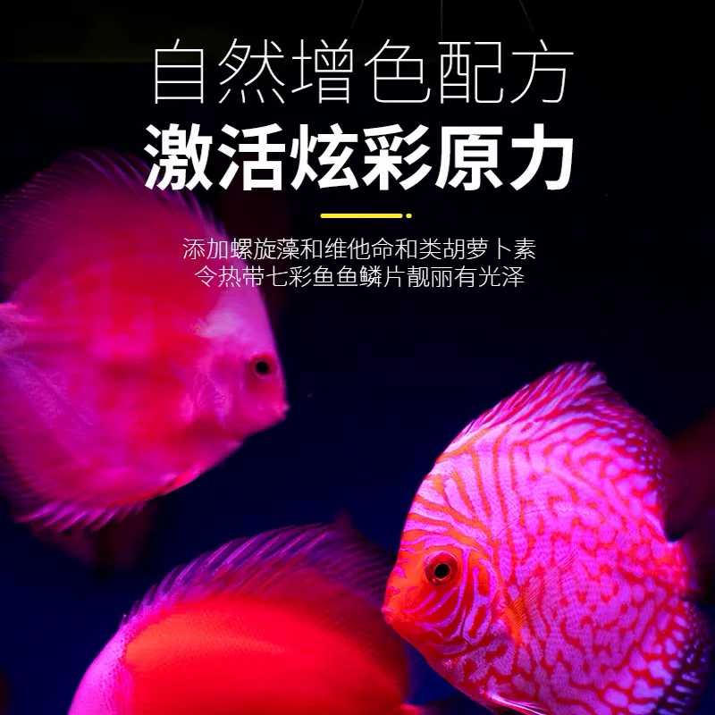 渔密码 Tropical fish feed small fish lantern family fish peacock fish increases color and high protein hexagonal dinosaur life