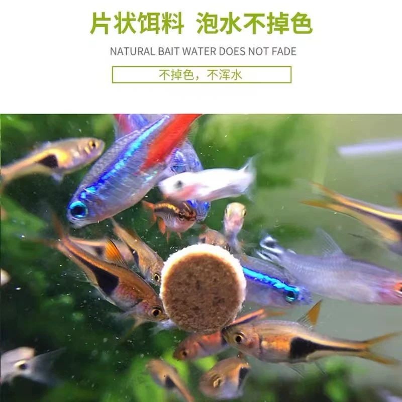 渔密码 Tropical fish feed small fish lantern family fish peacock fish increases color and high protein hexagonal dinosaur life
