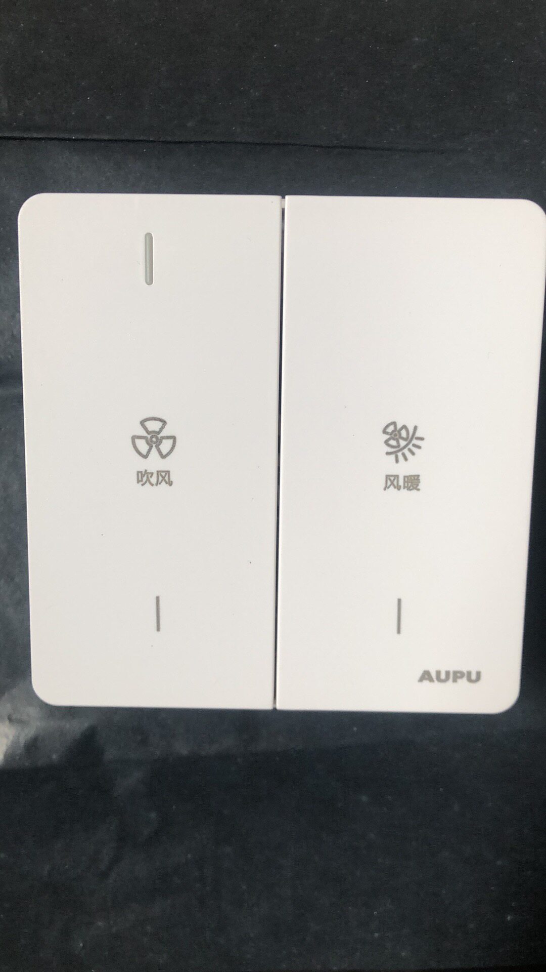AUPU Aup Bath Bullies Two Open Blowers Warm Blowers Big Button Switch QD3122A Panel 2 Switch