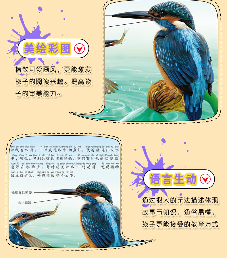 《动物小百科》儿童绘本注音版 全10册 图4