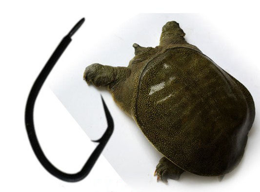 50 pieces of soft-shelled turtle, turtle, sea turtle, night fishing row hook, black fish, eel, catfish, eel, thorn hook, crooked mouth and crooked head hook