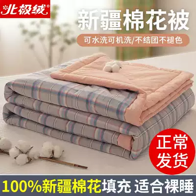 All-cotton quilt winter quilt thickened to keep warm Xinjiang pure cotton quilt core cotton wool double spring and Autumn bedding quilt four seasons universal