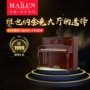 HAILUN Helen Vienna VD1 piano mới cho người mới bắt đầu dạy piano tại nhà yamaha u3h