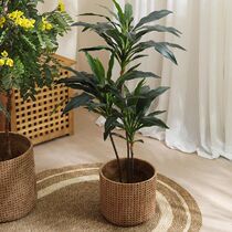 Bamboo woven flower tray with holder indoor floor-standing woven flower pot ins style high-end sense woven monstera plant rattan creative big