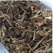 Wild Xihuang grass herbs No coarse stems Qingsheng Stay up late and work overtime to soak water and drink sweet Xihuang tea