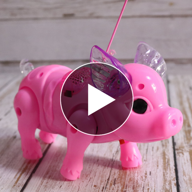 Shake the sound with the same net red electric rope piglet can walk and sing glowing children with rope walking pig toy boys and girls