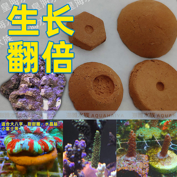 皇海水族珊瑚基座纽扣繁殖底座硬骨断枝瓦片拼盘四角脑支架海透水