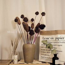 Songta pine fruit dried flower wild plant homestay decoration desktop ornaments ACORN ornaments Christmas diy material