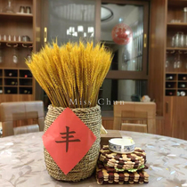 Wheat Rice ear dried flower decoration gift diy shooting props opening barley home living room decoration plant Yunnan