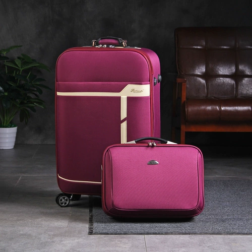 Универсальный вместительный и большой чемодан, 24 дюймов, ткань оксфорд