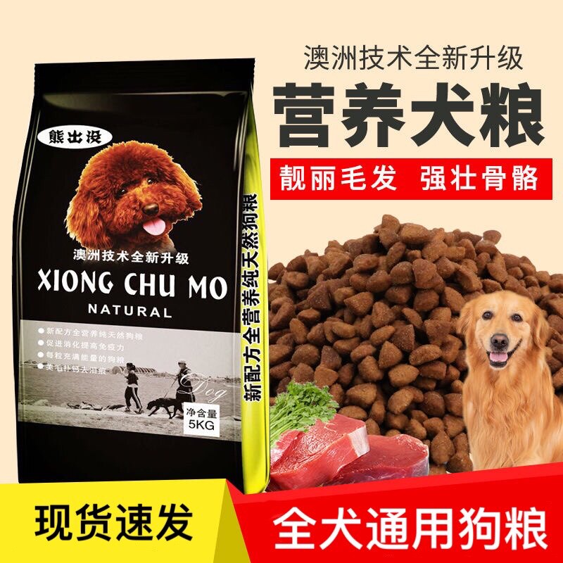 Bear infested dog food into dog dog food 10 catty of universal teddy full dog breed aged dog and young dog food big package 40 catty