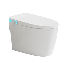 Mona Lisa Light Smart Toilet No Water Pressure Limitation Fully Automatic Home All-in-One Built-in Foam Shield Toilet