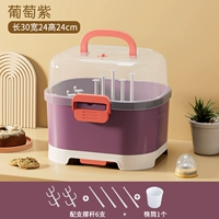 Виноградный фиолетовый (фавориты с хорошими подарками)