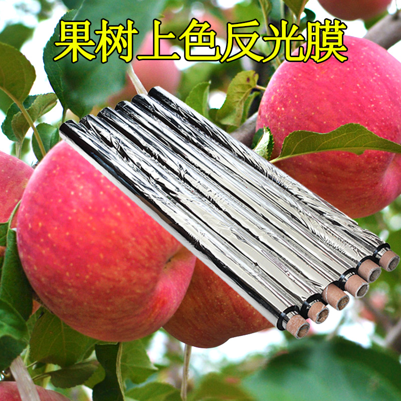 Agricultural fruit tree reflective film apple grapes colored coloring orchard dedicated greenhouse heating and light curtain film