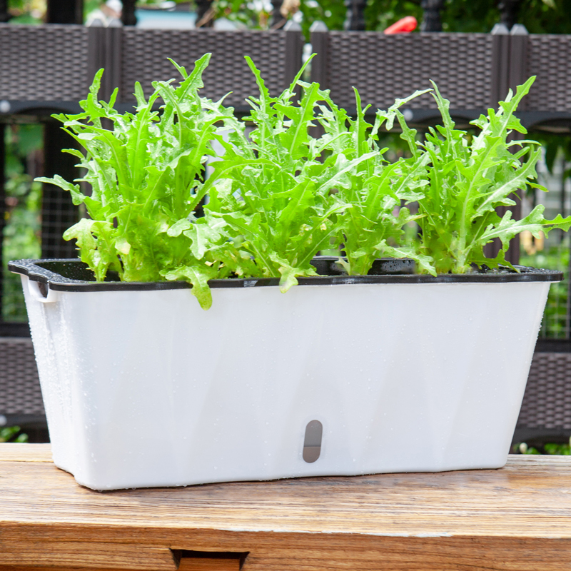 Sloth automatically absorbent seed Vegetable Basin Strip Square Flower Pot Family Balcony Flower Groove Multi Meat Raised Flower Vegetable Planting Box