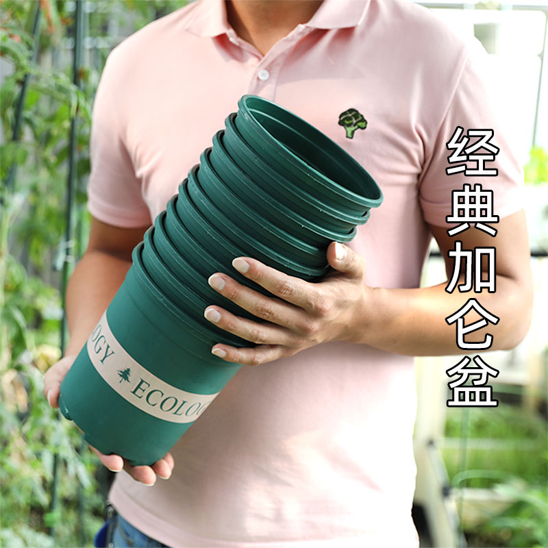 Plastic chunky gallon flower pot gold Ge rose flower succulent large-diameter resin pot clearance thickening Qingshan pot