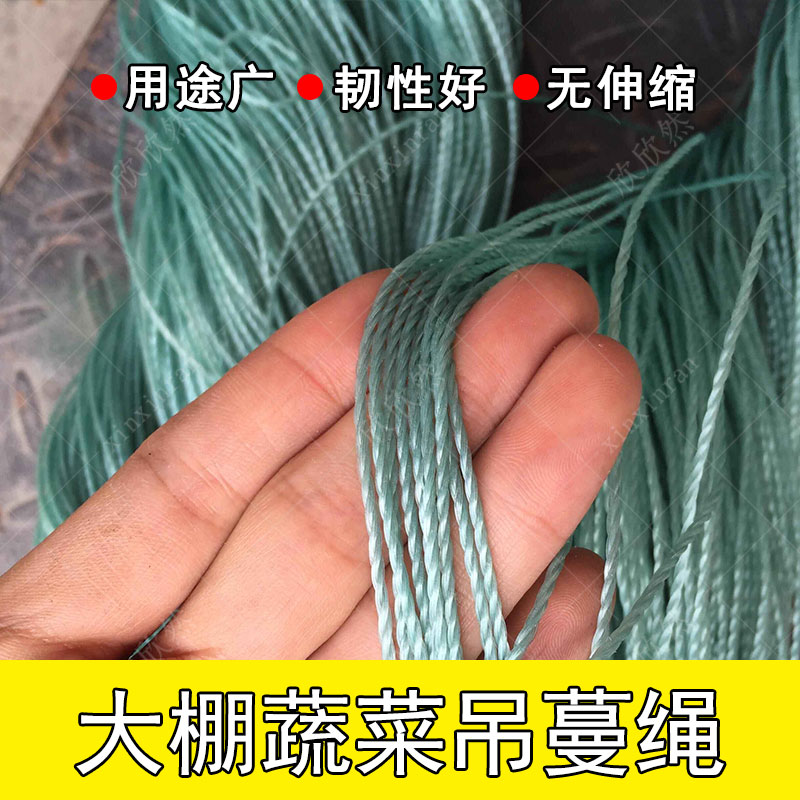 Agricultural anti-aging greenhouse vegetable hanging rope cucumber tomato tomato hanging rope binding vine plastic rope nylon rope