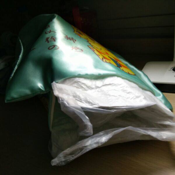 Coussin Manga - Ref 2691220 Image 6