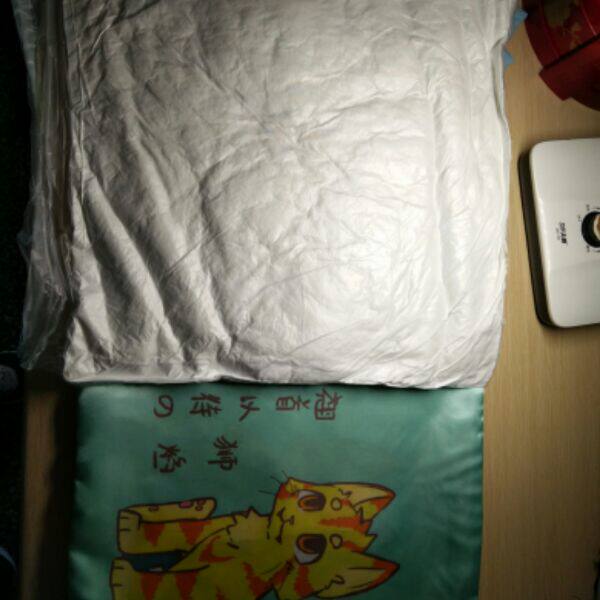 Coussin Manga - Ref 2691220 Image 5