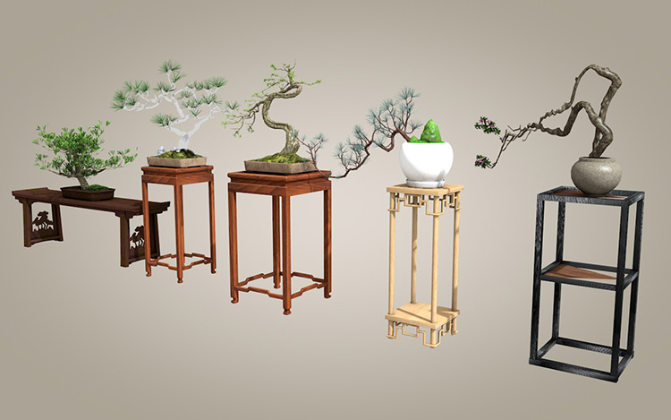 图片[4]-21款中式盆景栽罗汉松树造型植物摆件绿植花架SU模型C4D素材S081-cg男孩