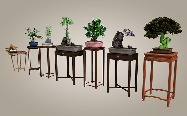 图片[3]-21款中式盆景栽罗汉松树造型植物摆件绿植花架SU模型C4D素材S081-cg男孩