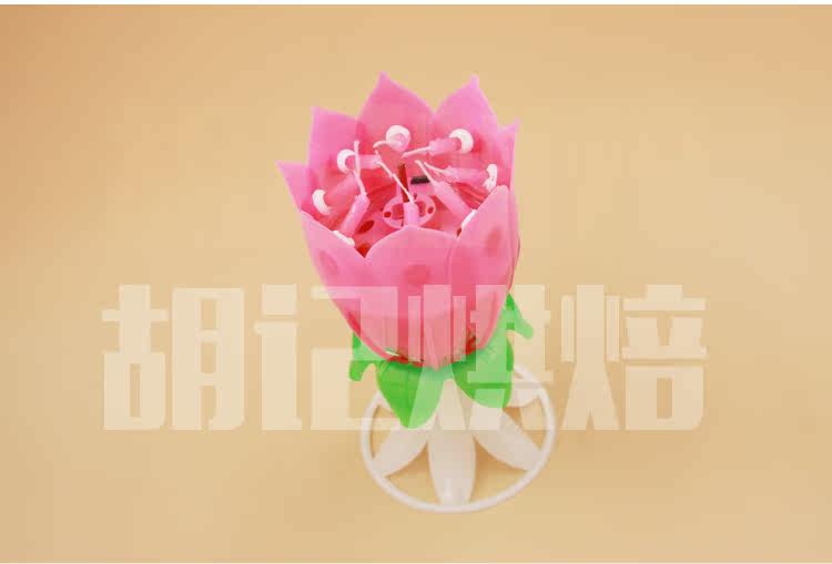 Bougie - Ref 2489420 Image 12