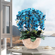 Hejia hand-feel simulated Phalaenopsis set green plant potted flower arrangement indoor living room dried flower arrangement decoration fake flowers